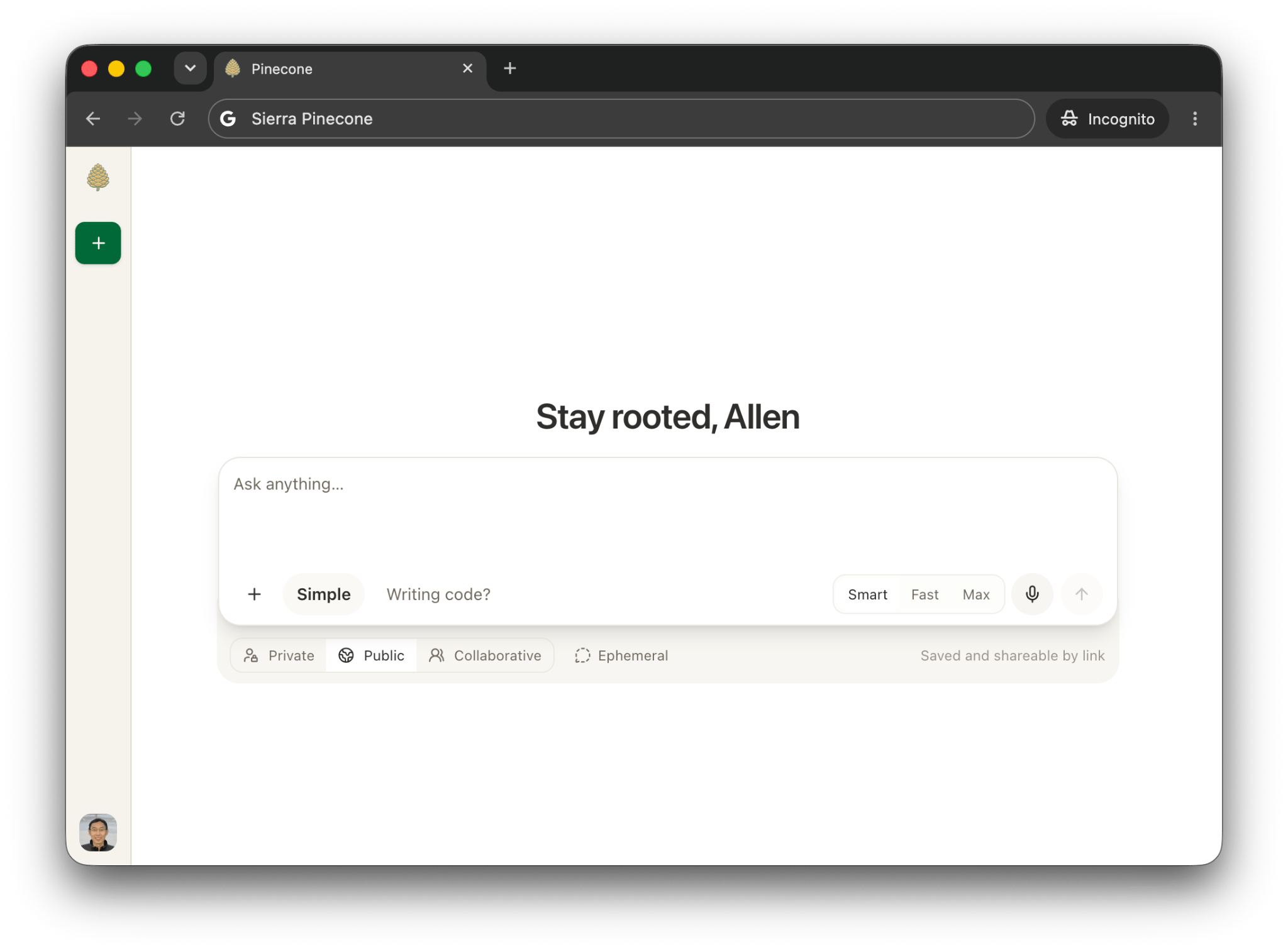 Image of Pinecone home page, that says "stay rooted, Allen" with a prompt bar underneath it