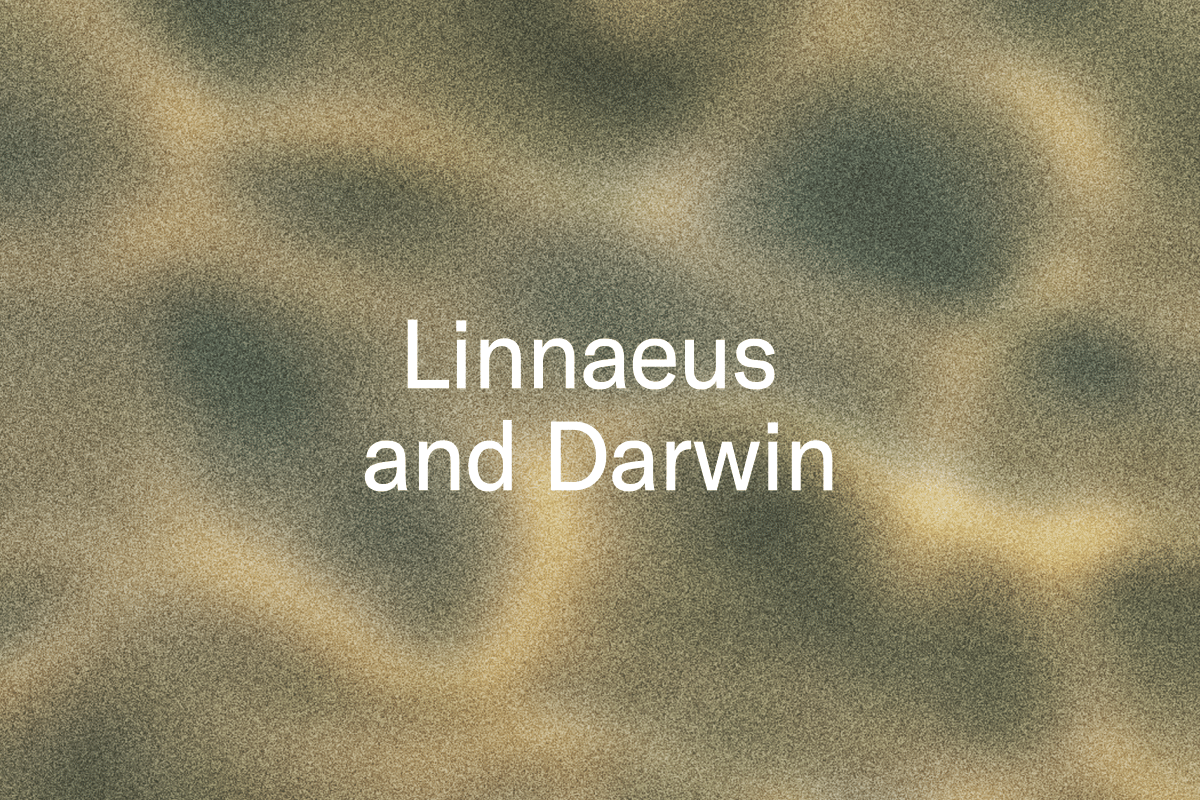 Text: Linnaeus and Darwin.