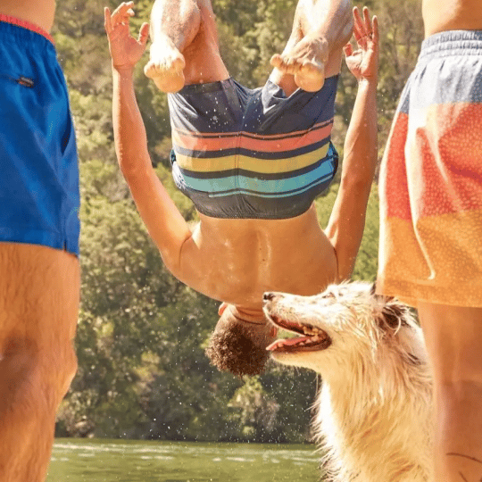 A person in striped swim trunks backflips over water, while a wet dog looks up and two other people stand by.